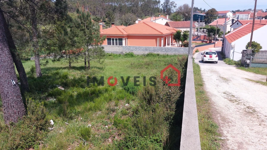 Terreno para Venda em São Mamede Foto 7