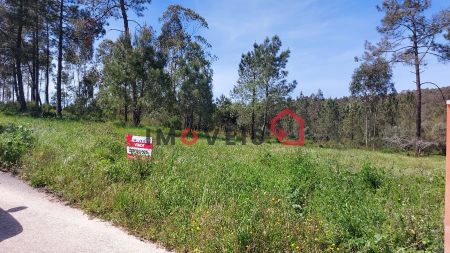 Terreno para Venda em São Mamede