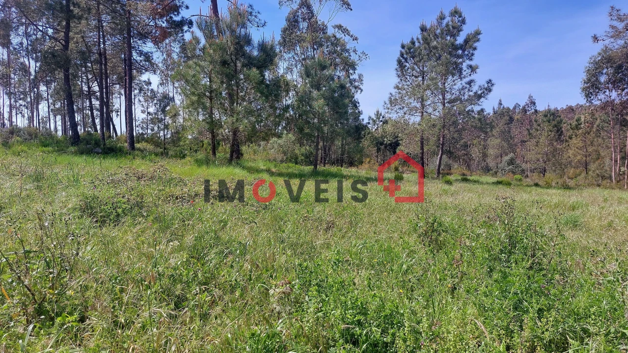 Terreno para Venda em São Mamede Foto 4