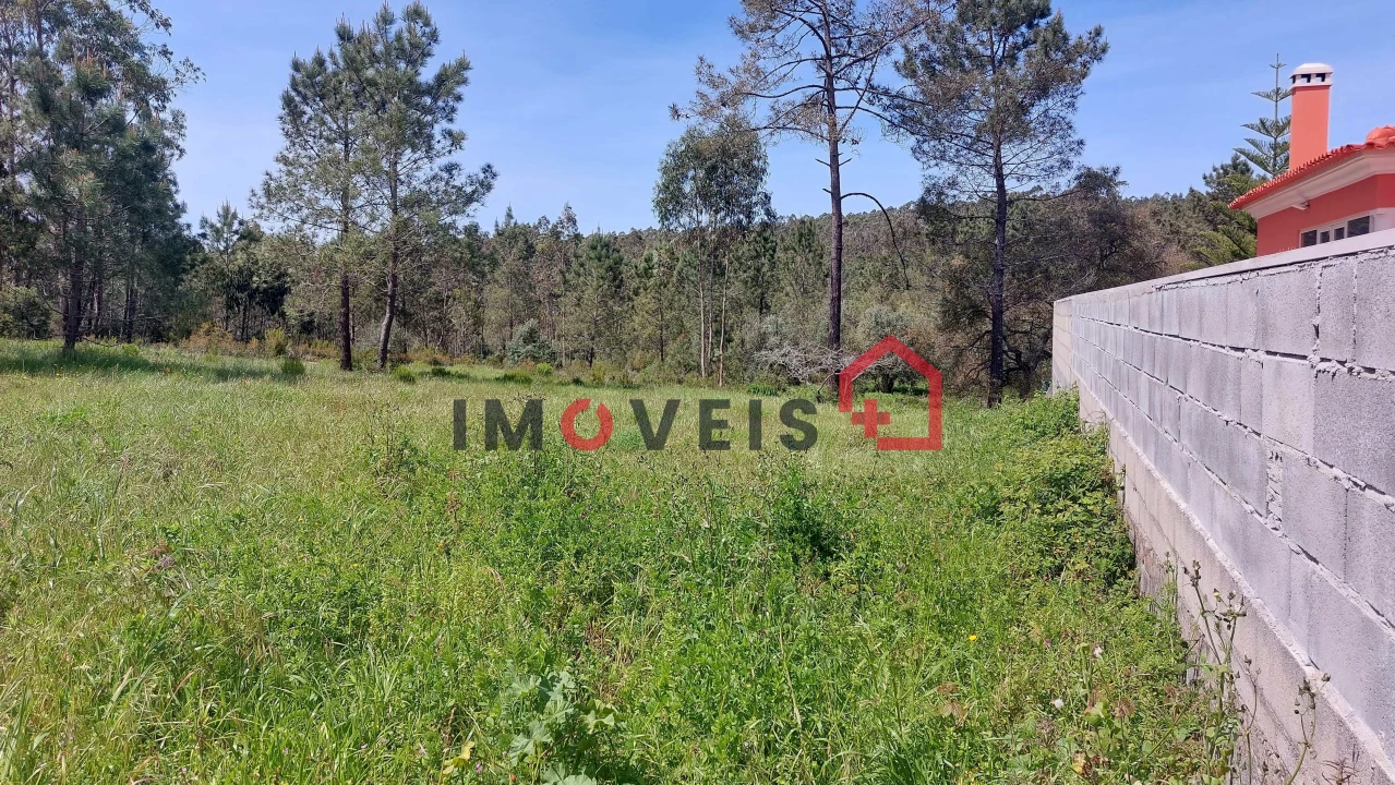 Terreno para Venda em São Mamede Foto 3
