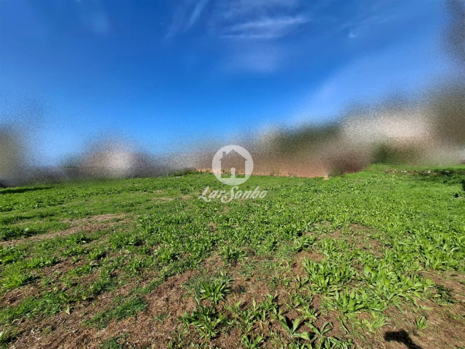 Terreno para Venda em Póvoa de Varzim, Beiriz e Argivai Foto 3