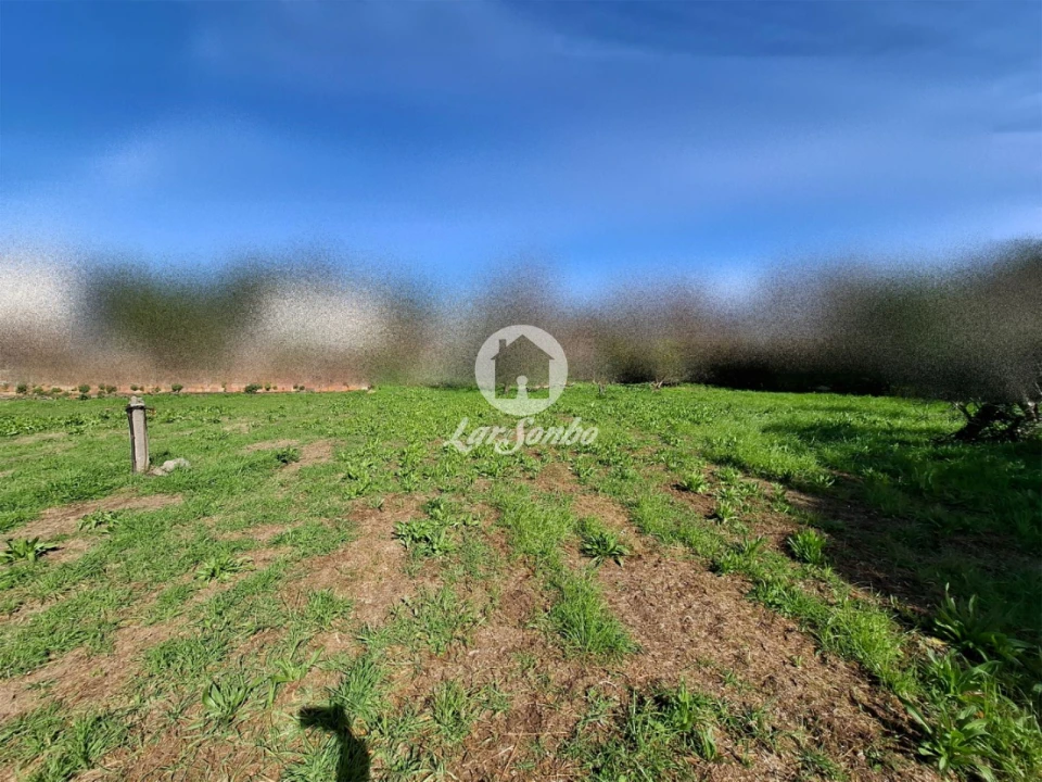Terreno para Venda em Póvoa de Varzim, Beiriz e Argivai Foto 5