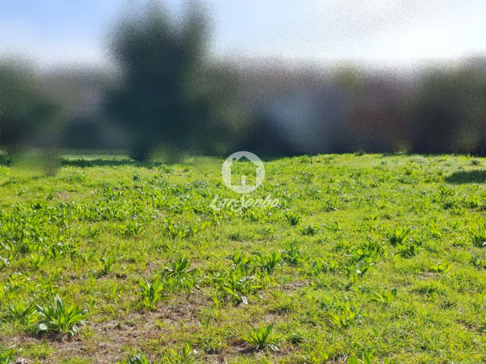 Terreno para Venda em Póvoa de Varzim, Beiriz e Argivai Foto 18