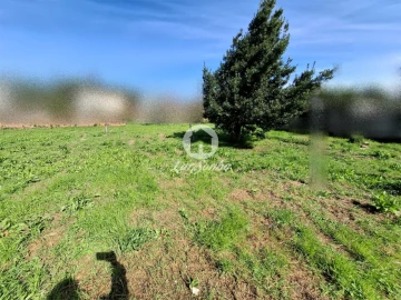 Terreno para Venda em Póvoa de Varzim, Beiriz e Argivai