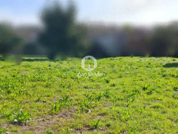 Terreno para Venda em Póvoa de Varzim, Beiriz e Argivai