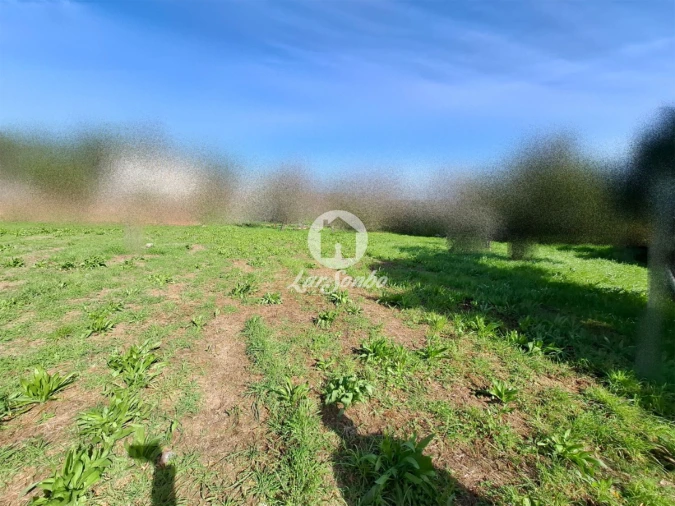 Terreno para Venda em Póvoa de Varzim, Beiriz e Argivai Foto 6