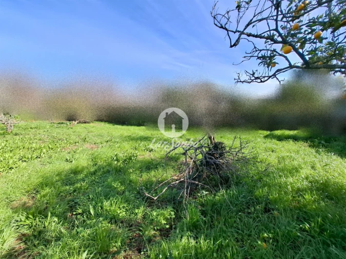 Terreno para Venda em Póvoa de Varzim, Beiriz e Argivai Foto 15