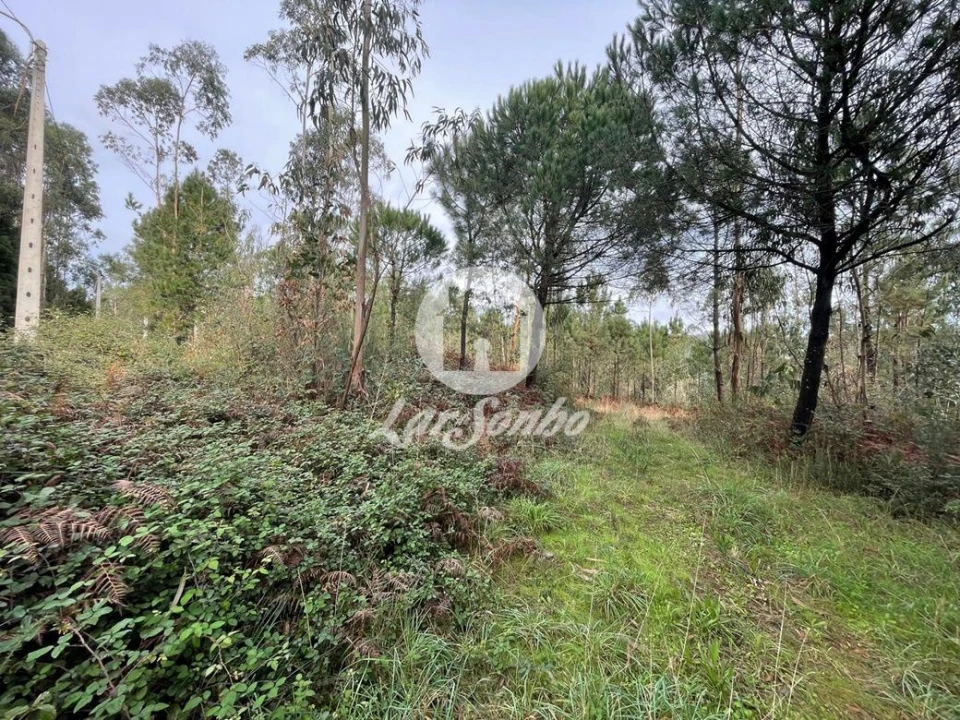 Terreno Agricola ou Rústico para Venda em Malta e Canidelo Foto 1