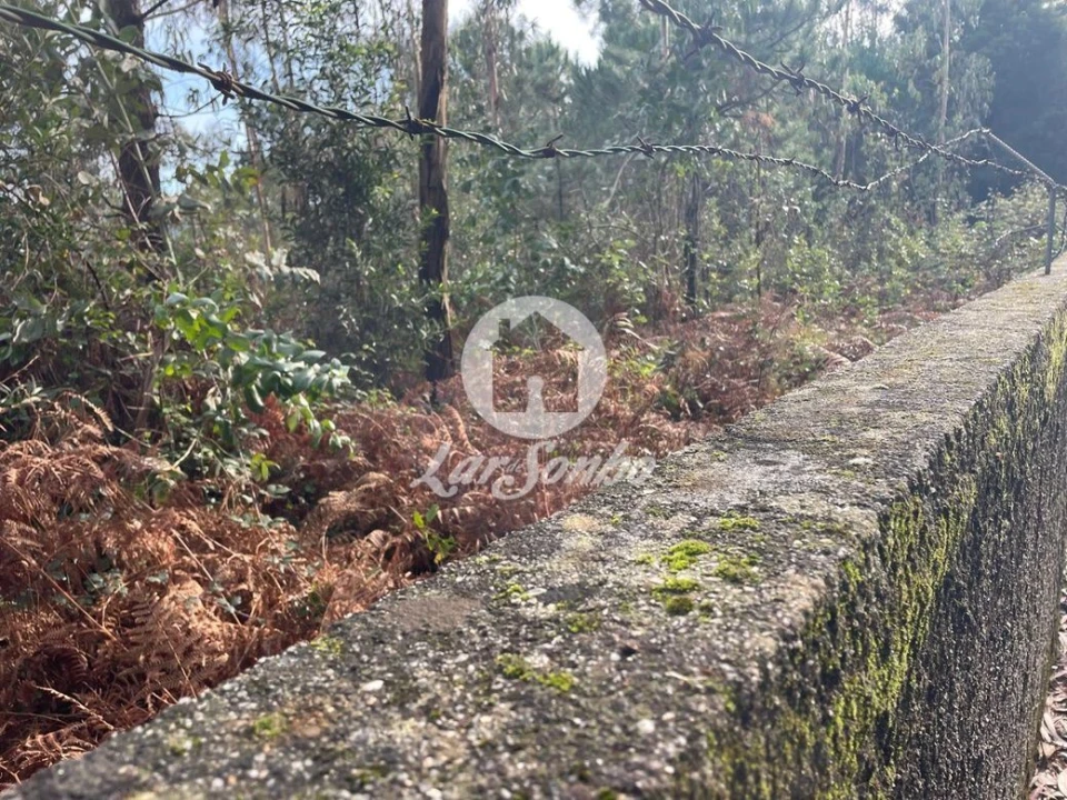 Terreno Agricola ou Rústico para Venda em Malta e Canidelo Foto 4