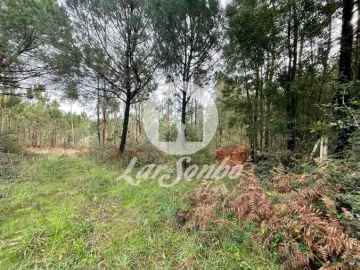 Terreno Agricola ou Rústico para Venda em Malta e Canidelo
