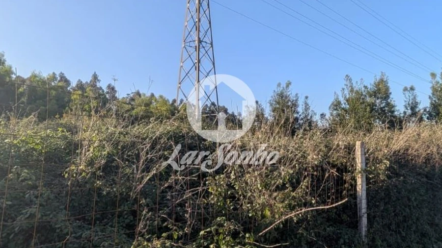 Terreno Agricola ou Rústico para Venda em Retorta e Tougues