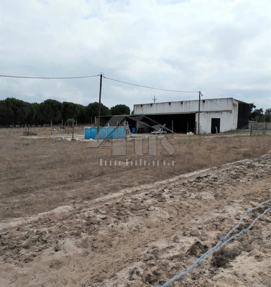 Moradia T3 para Venda em Pegões Foto 7