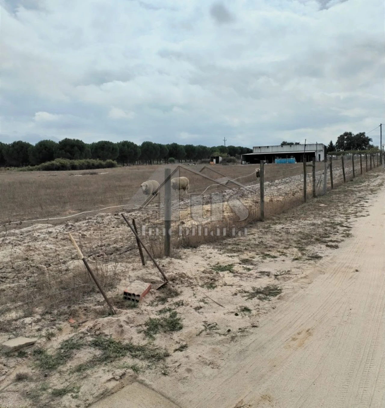 Moradia T3 para Venda em Pegões Foto 5