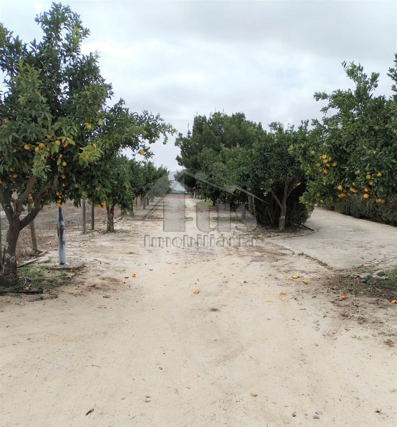 Moradia T3 para Venda em Pegões Foto 9