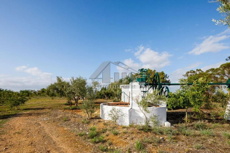 Quinta T5 para Venda em Moncarapacho e Fuseta Foto 60