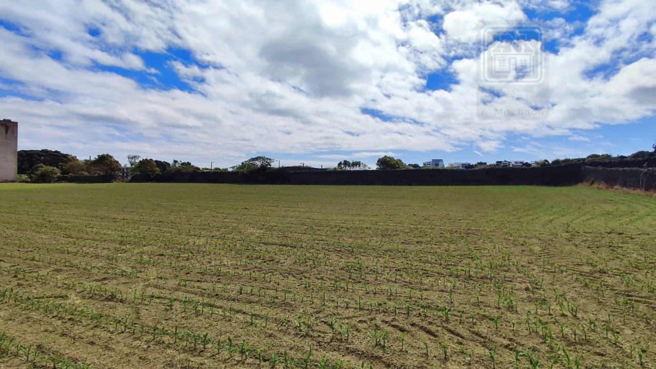 Terreno para Venda em Santa Clara Foto 4
