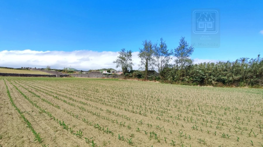 Terreno para Venda em Santa Clara Foto 9