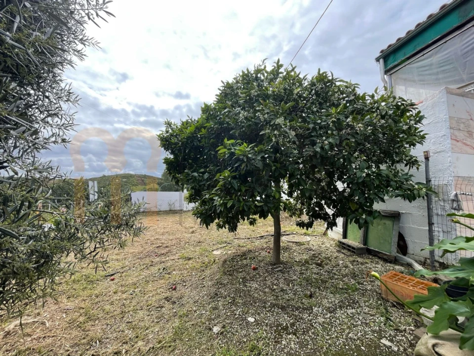 Negócio para Venda em Espirito Santo Foto 6