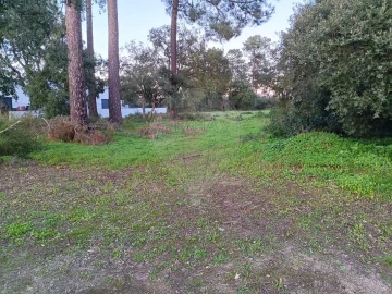 Terreno para Venda em Azeitão (São Lourenço e São Simão)