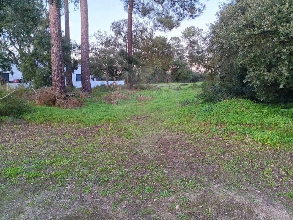 Terreno para Venda em Azeitão (São Lourenço e São Simão) Foto 2