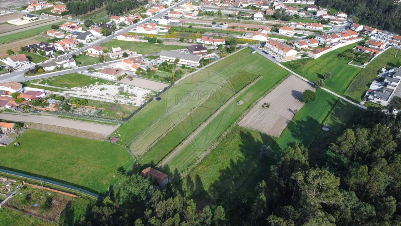 Terreno para Venda em Esgueira Foto 6
