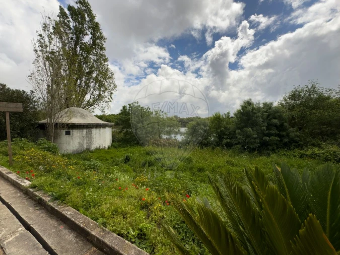 Loja para Venda em Santa Maria e São Miguel, São Martinho, São Pedro Penaferrim Foto 5