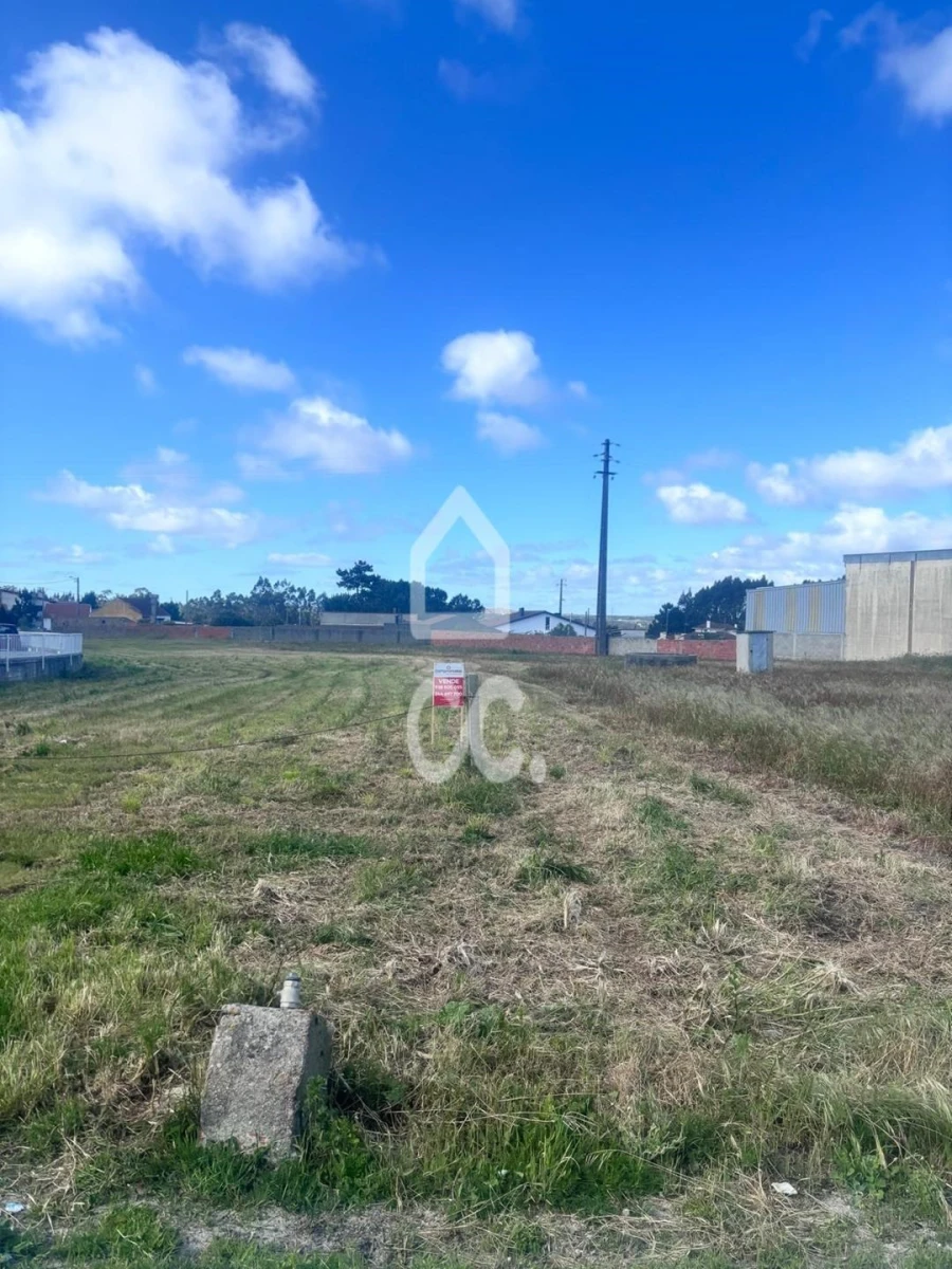 Terreno para Venda em Vieira de Leiria Foto 9