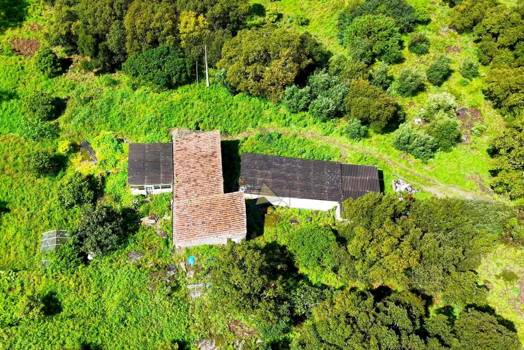 Quinta T2 para Venda em Monchique Foto 26
