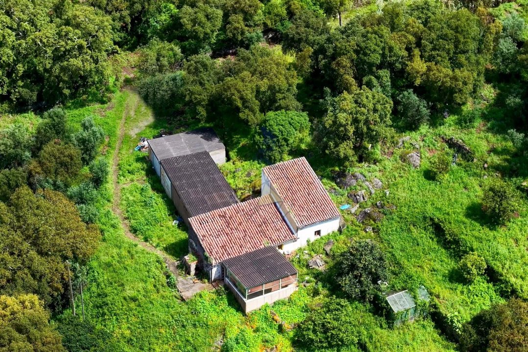 Quinta T2 para Venda em Monchique Foto 28
