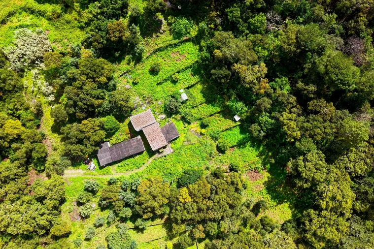 Quinta T2 para Venda em Monchique Foto 27