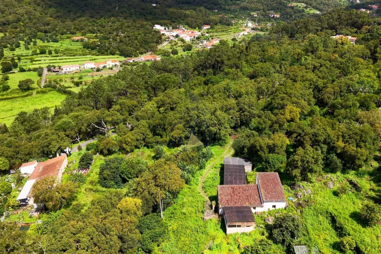 Quinta T2 para Venda em Monchique Foto 23