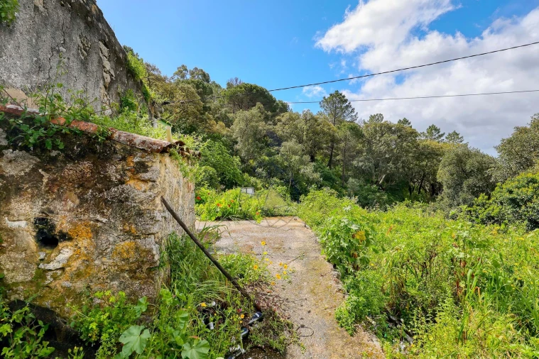 Quinta T2 para Venda em Monchique Foto 5