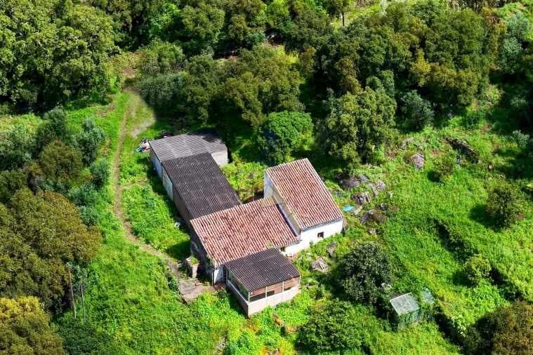 Quinta T2 para Venda em Monchique Foto 28