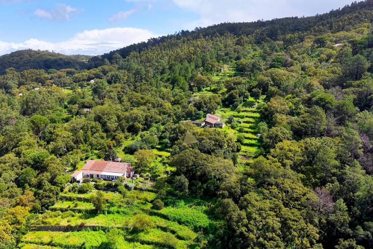 Quinta T2 para Venda em Monchique Foto 24