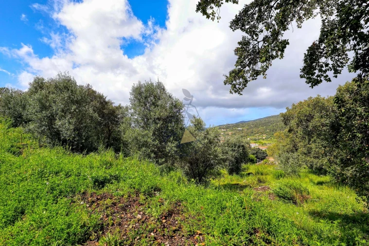 Quinta T2 para Venda em Monchique Foto 7