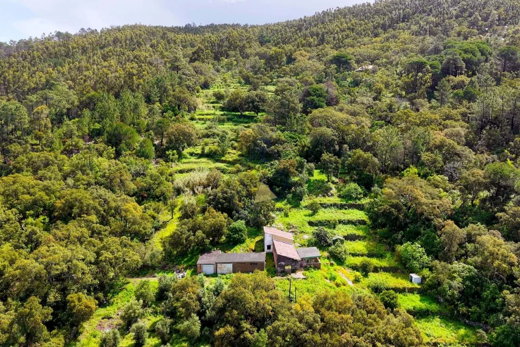 Quinta T2 para Venda em Monchique Foto 25