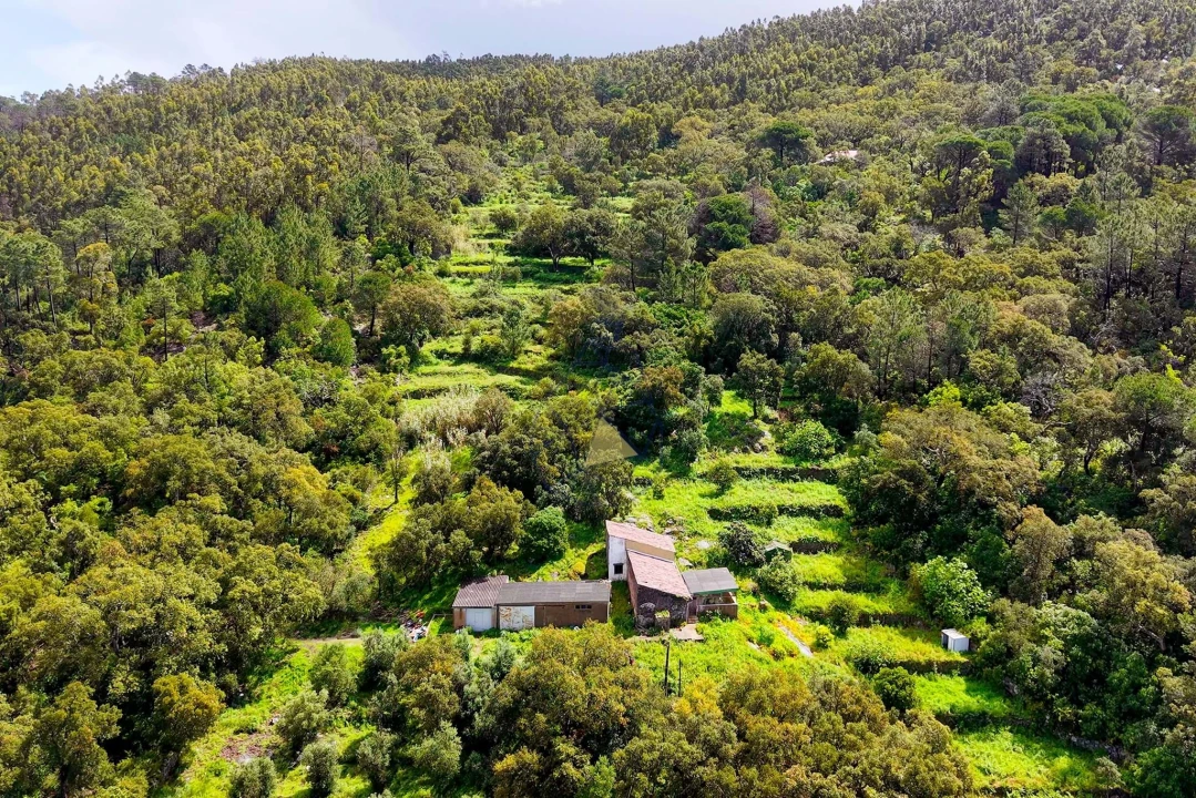 Quinta T2 para Venda em Monchique Foto 25