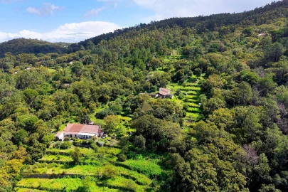 Quinta T2 para Venda em Monchique