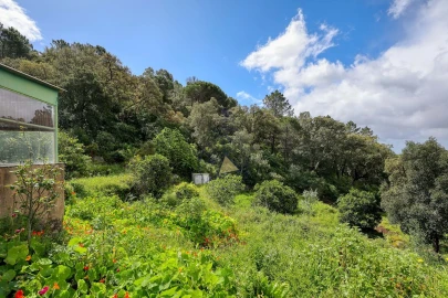Quinta T2 para Venda em Monchique