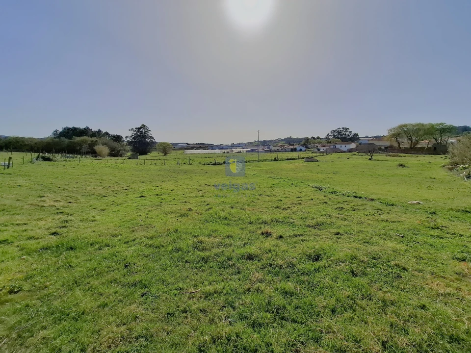 Terreno para Venda em Cela Foto 8