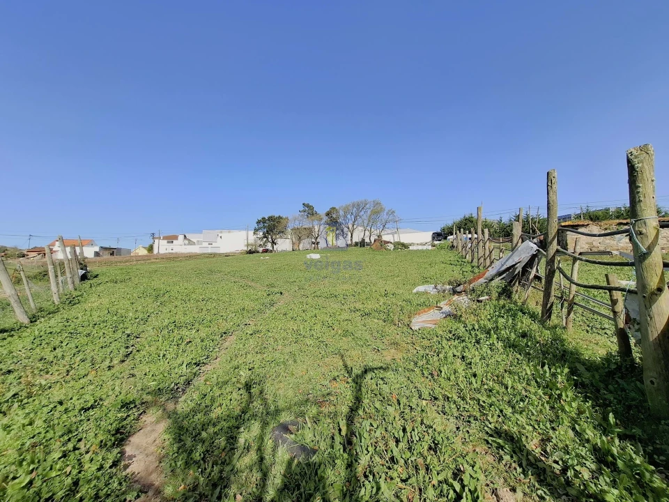Terreno para Venda em Cela Foto 13