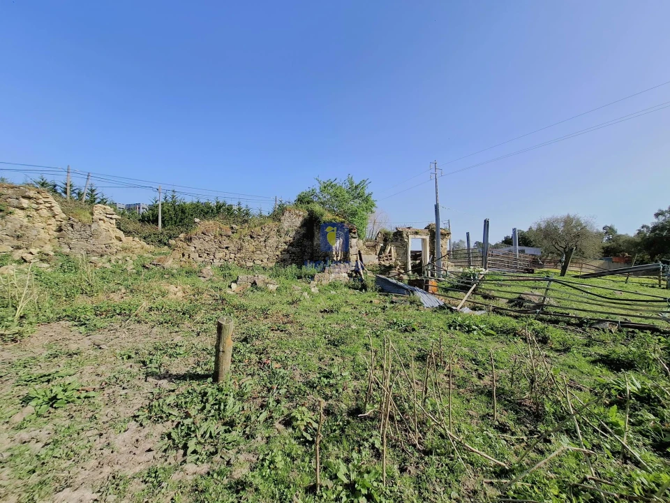 Terreno para Venda em Cela Foto 17