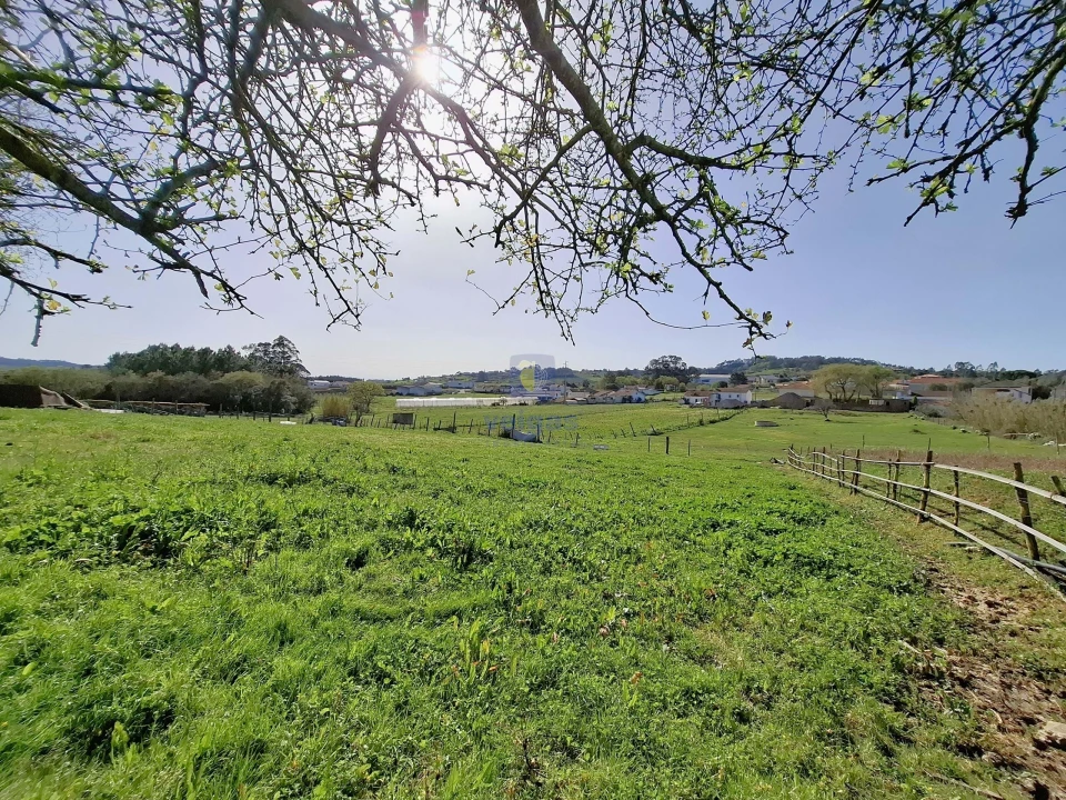 Terreno para Venda em Cela Foto 1