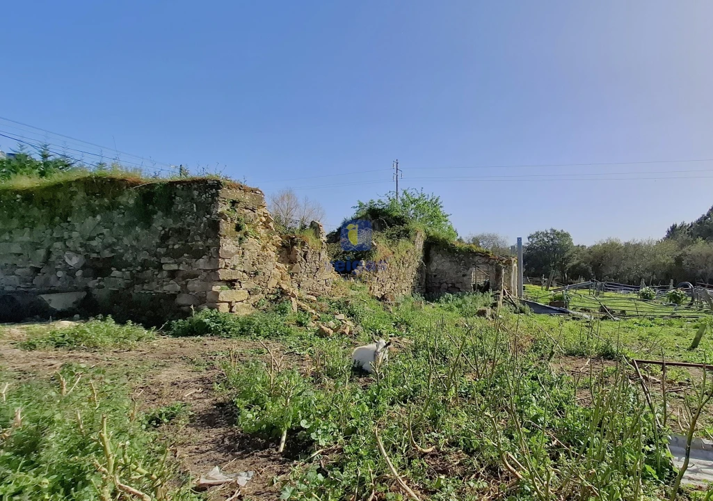 Terreno para Venda em Cela Foto 16