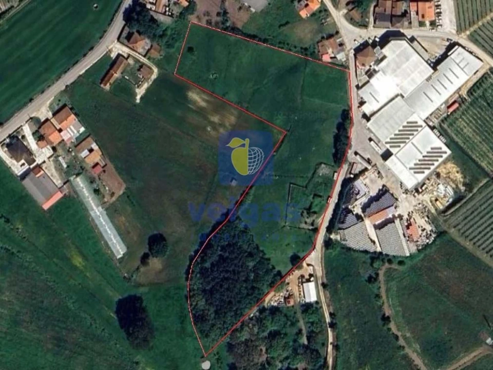 Terreno para Venda em Cela Foto 2