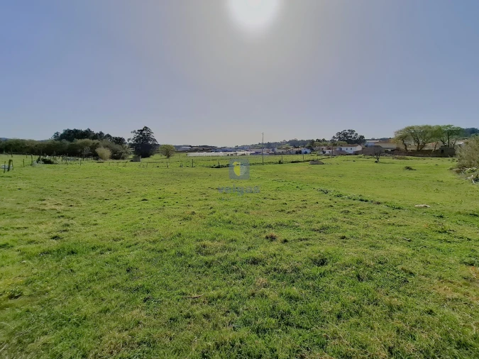 Terreno para Venda em Cela Foto 8