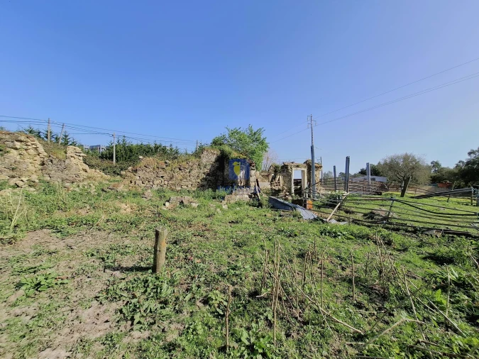 Terreno para Venda em Cela Foto 17