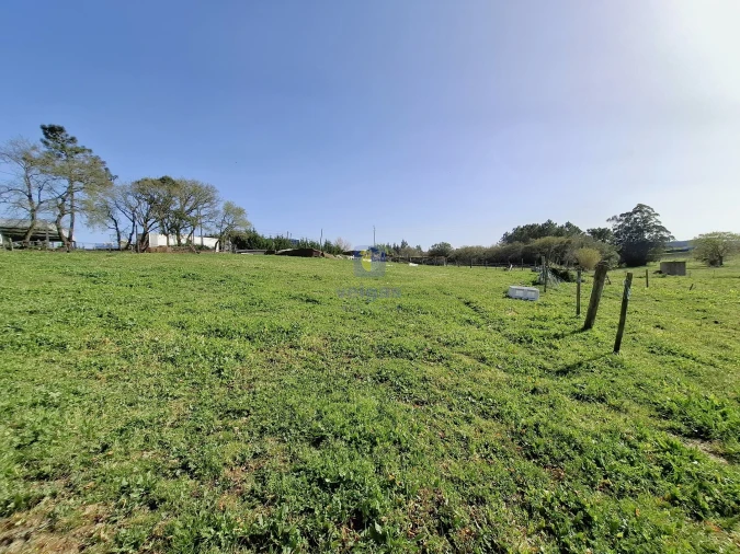 Terreno para Venda em Cela Foto 6
