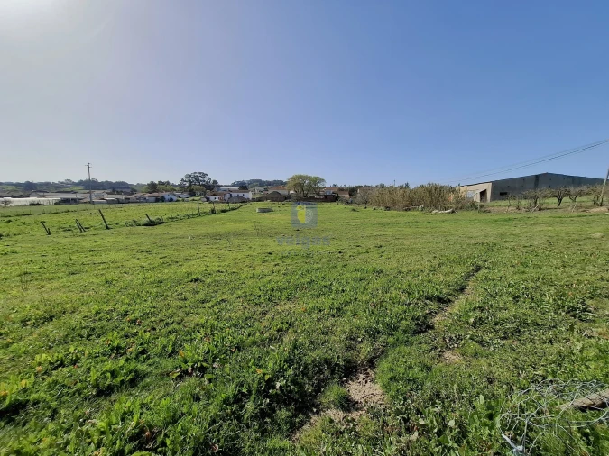 Terreno para Venda em Cela Foto 7