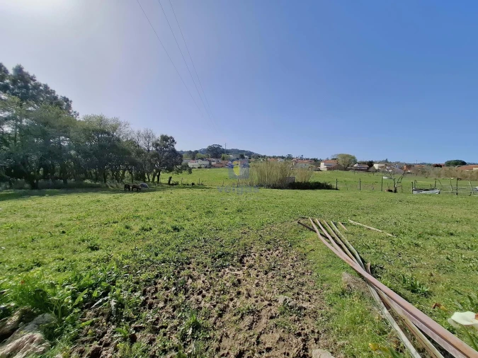 Terreno para Venda em Cela Foto 19